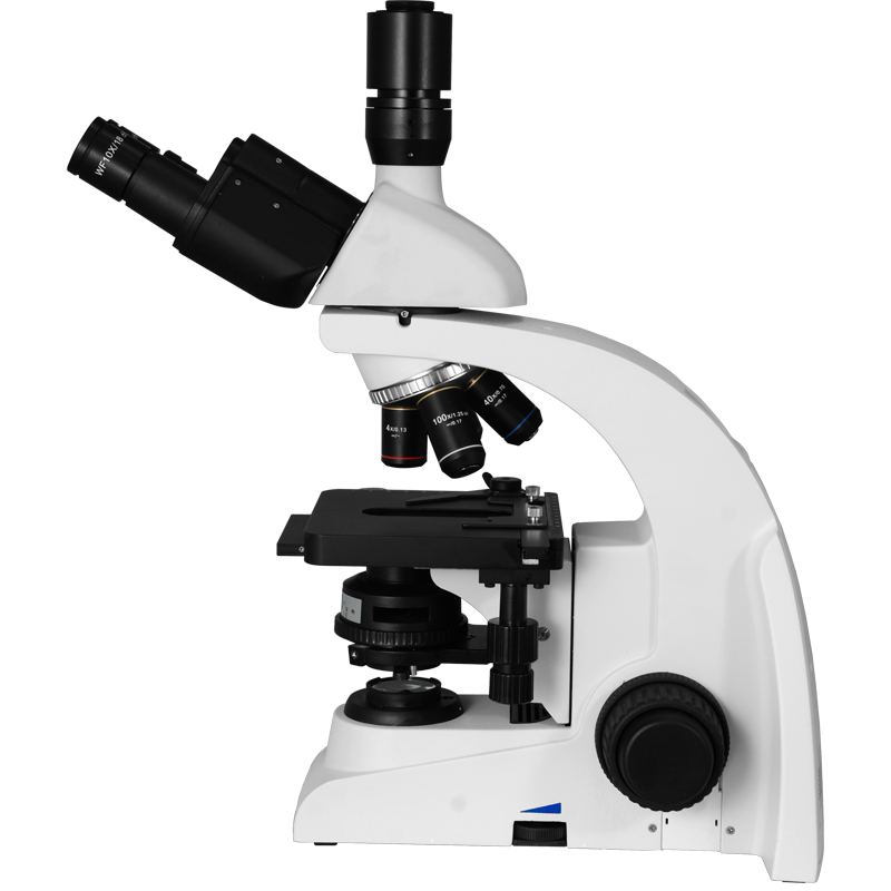 Biological Microscope